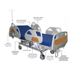 Five Function Bed